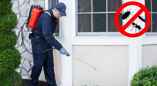Nazilli Karınca İlaçlama böcek ilaçlama ve haşere kontrolü — ilaclama-tr.com